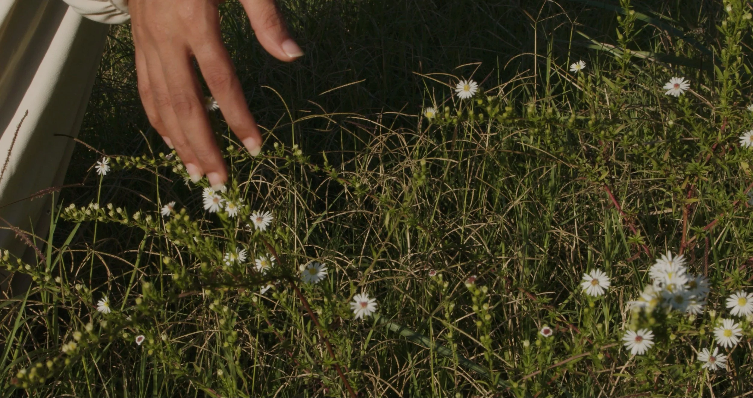 My Hijab for Web-06.jpg