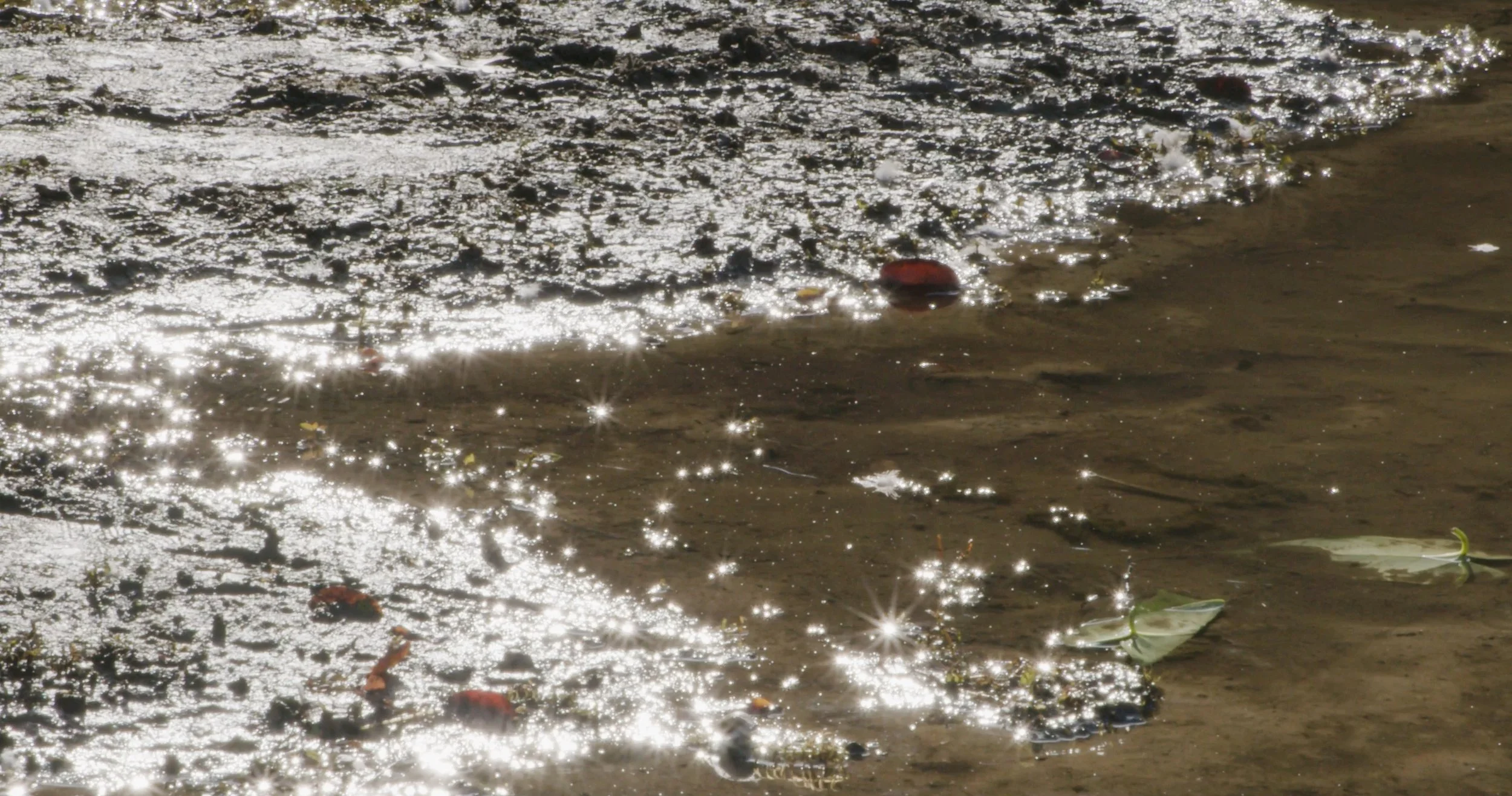 My Hijab for Web-11.jpg