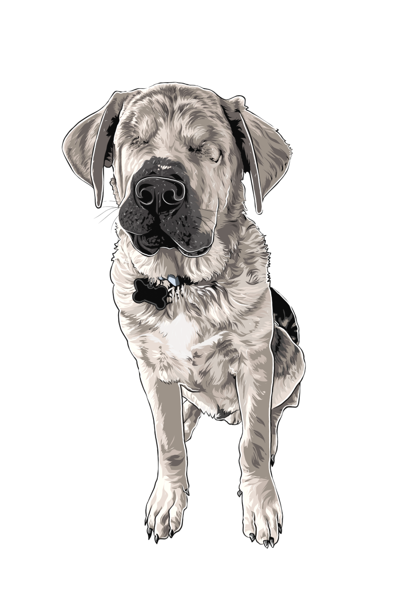 Digital illustration of a seated dog with closed eyes and a black collar with a bone-shaped tag.