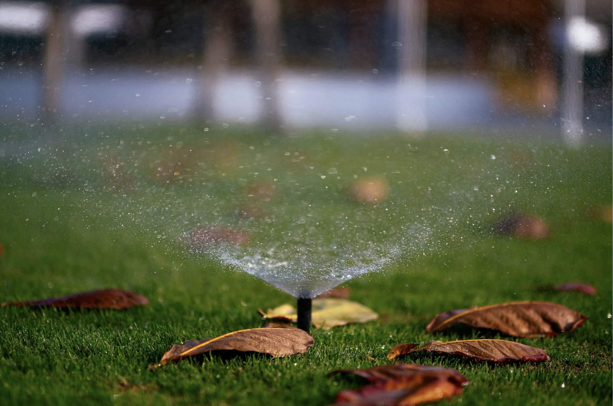 New Appointment Variations (NAVs): An Alternative to Traditional Water Company Adoption