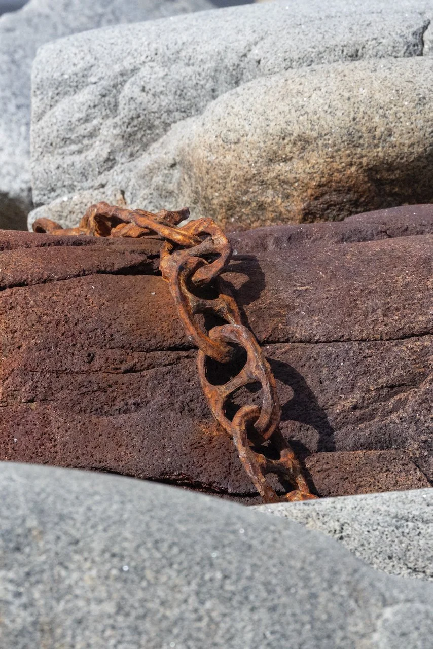 Antarctica 2025- First Show - 27 of 92.jpeg