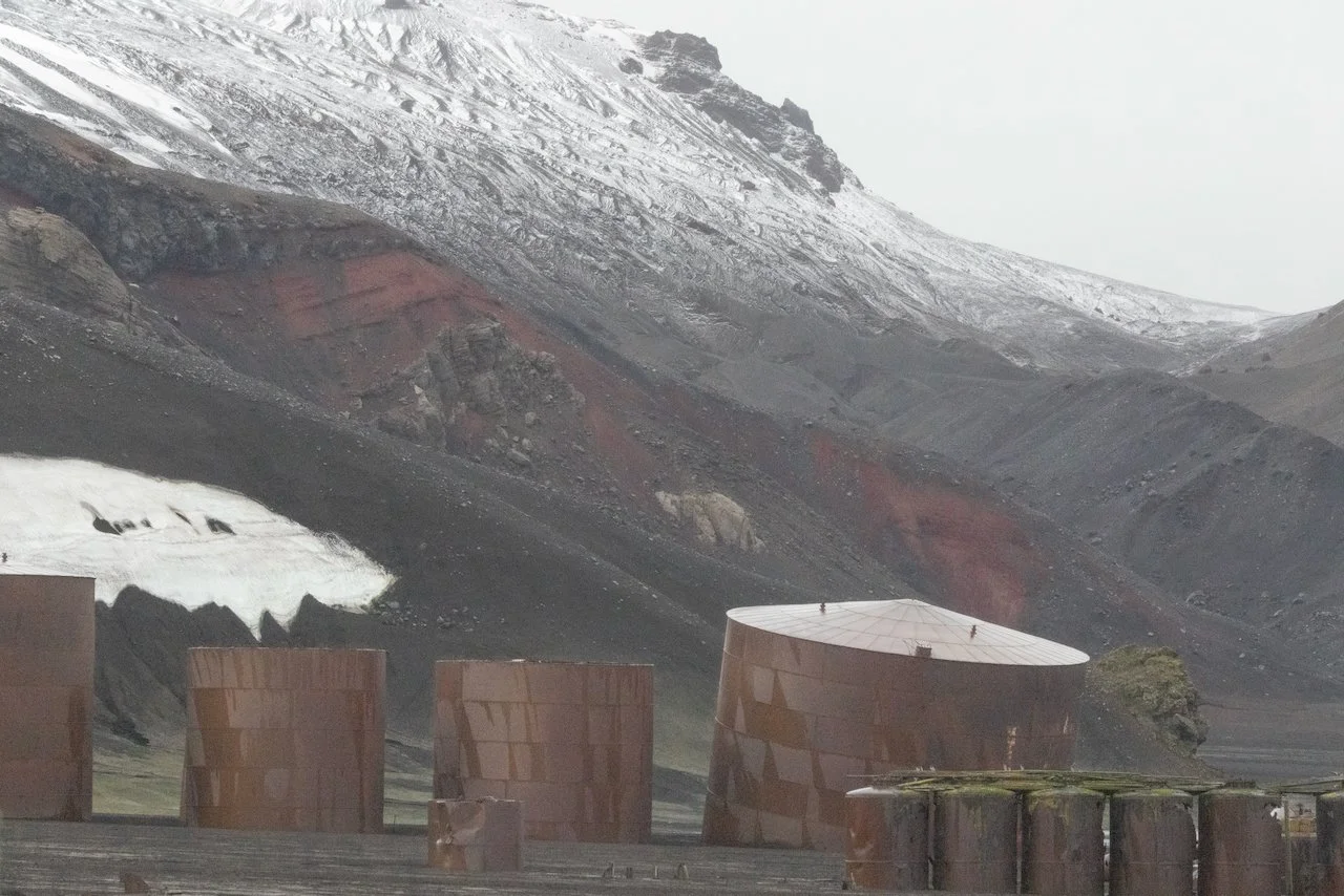 Antarctica 2025- First Show - 47 of 92.jpeg