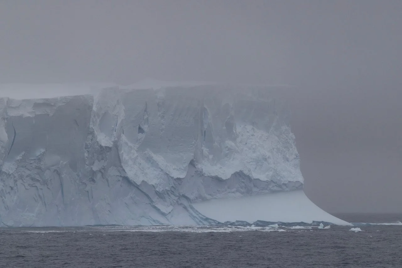 Antarctica 2025- First Show - 5 of 92.jpeg