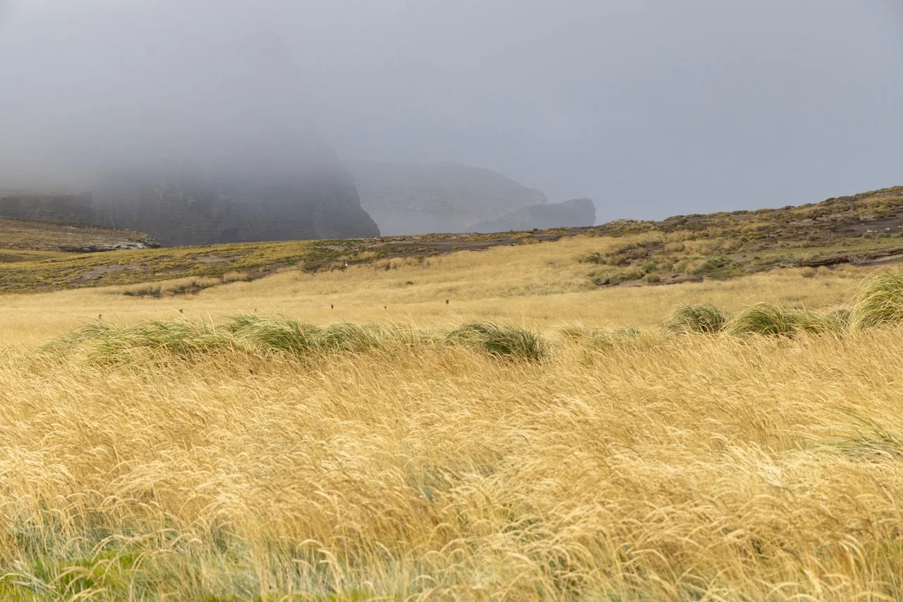 Antarctica 2025- First Show - 87 of 92.jpeg