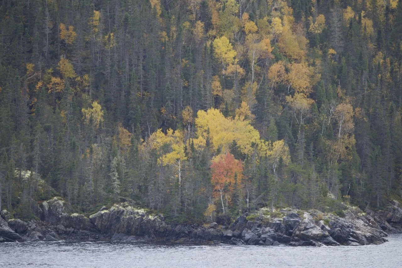 Foliage Cruise - 52 of 132.jpeg
