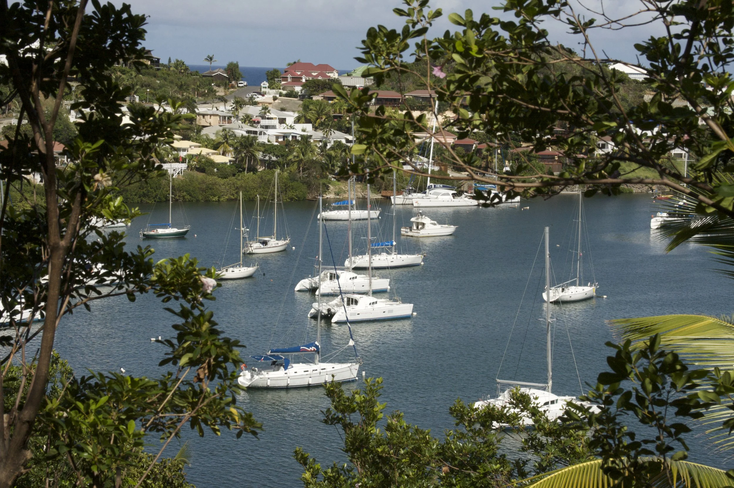 Sint Maarten 334 64.jpg