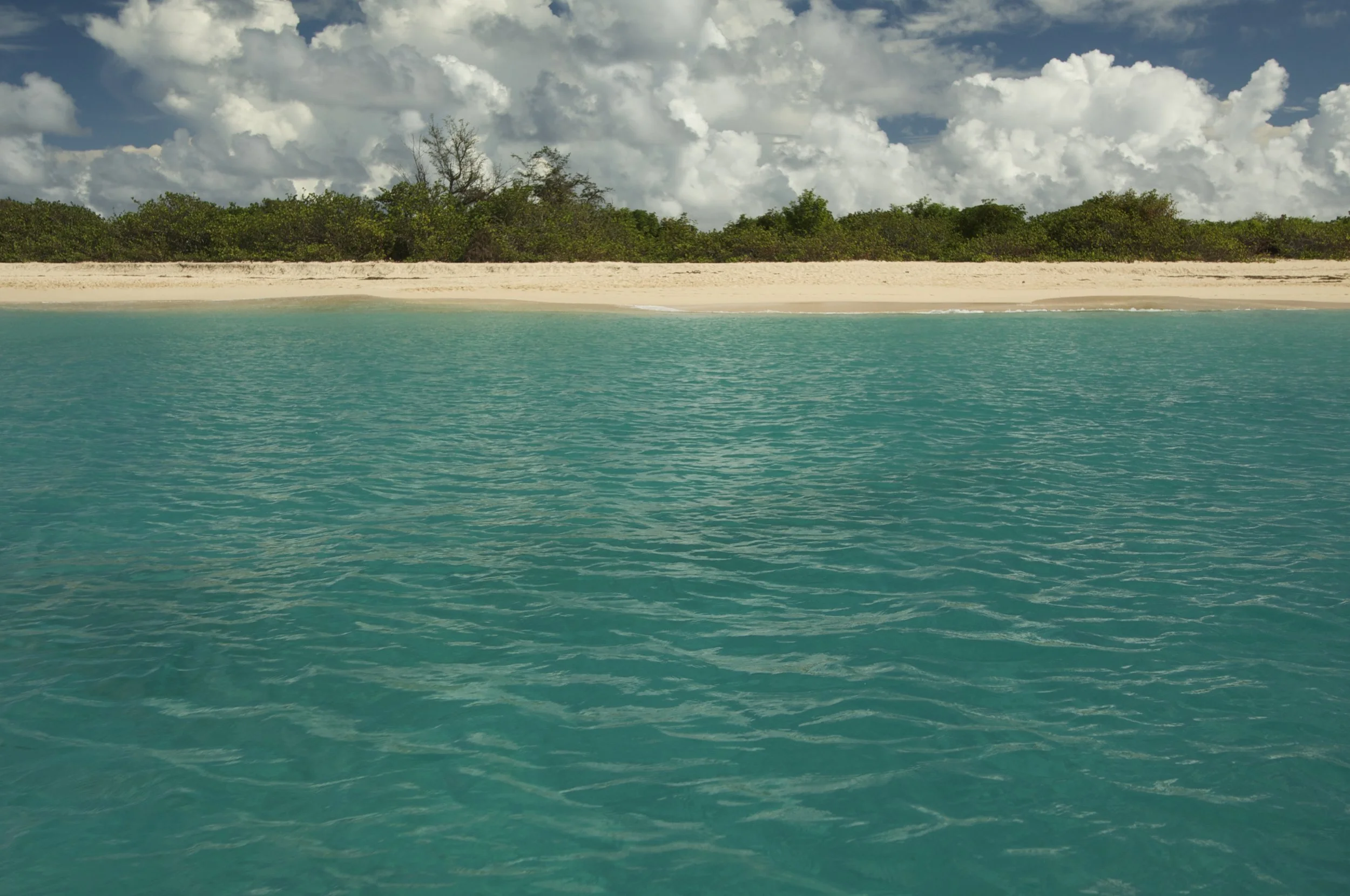 Sint Maarten  894 135.jpg