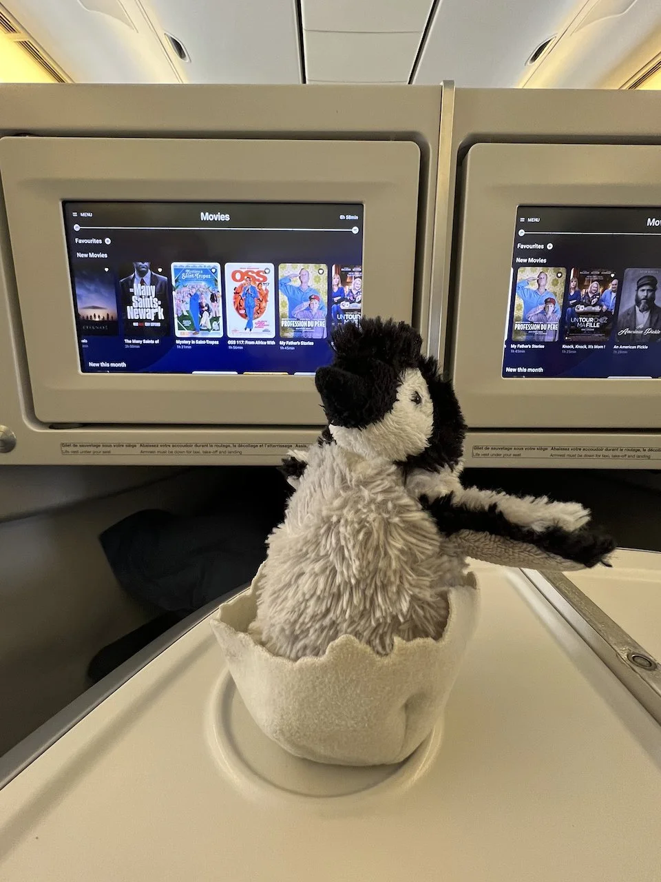 Final Europe Show - 2 of 131.jpeg