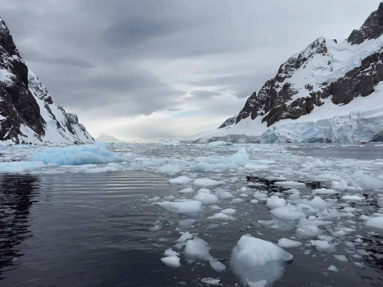 Antarctica 2025- First Show - 24 of 92.jpeg