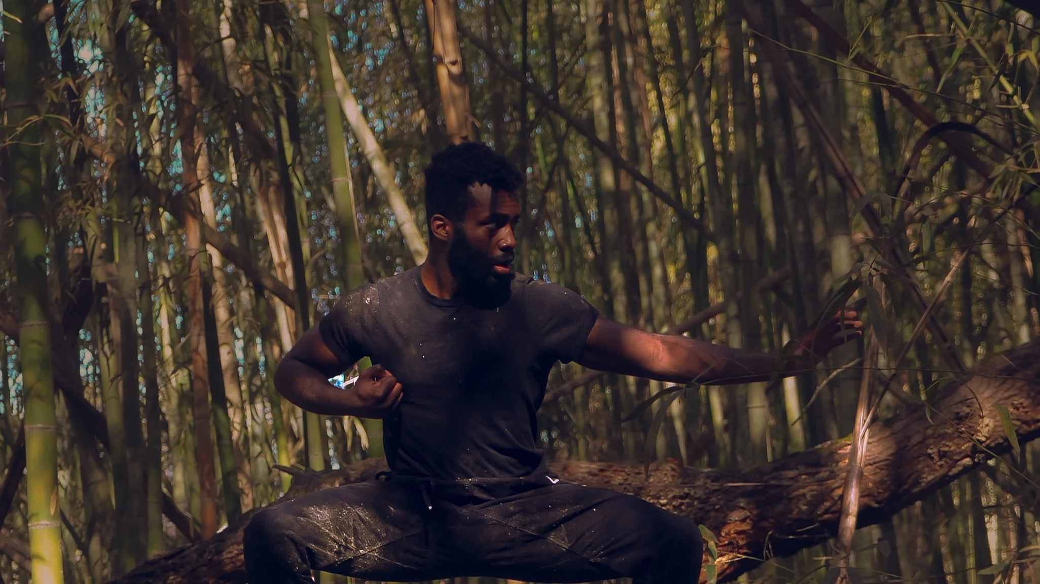 A man with a beard and dark curly hair wearing a black t-shirt and pants sitting on a fallen tree trunk in a dense bamboo forest, stretching his arm forward.