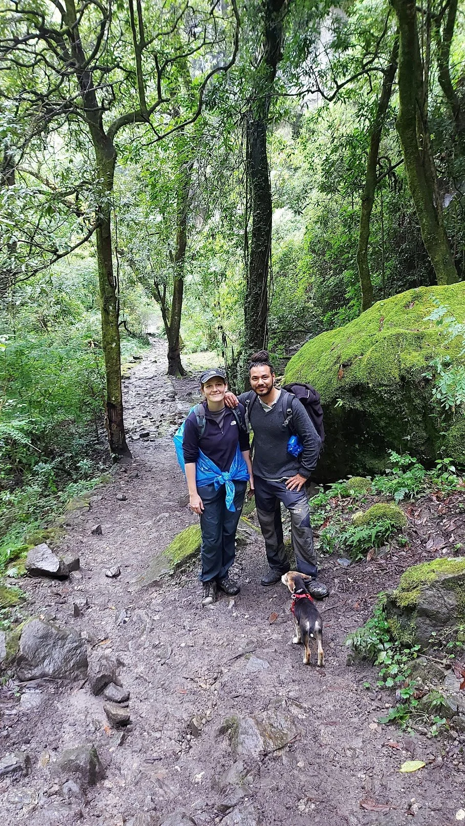 Two people and a dog standing on a muddy trail in a lush green forest during a hike.