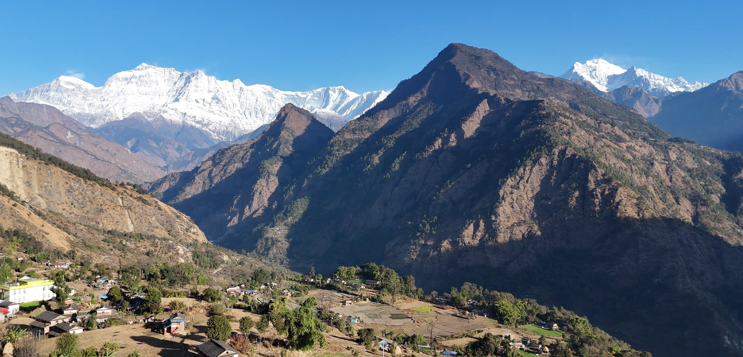 Coming Soon - Earthbag and Sapling Apprenticeship