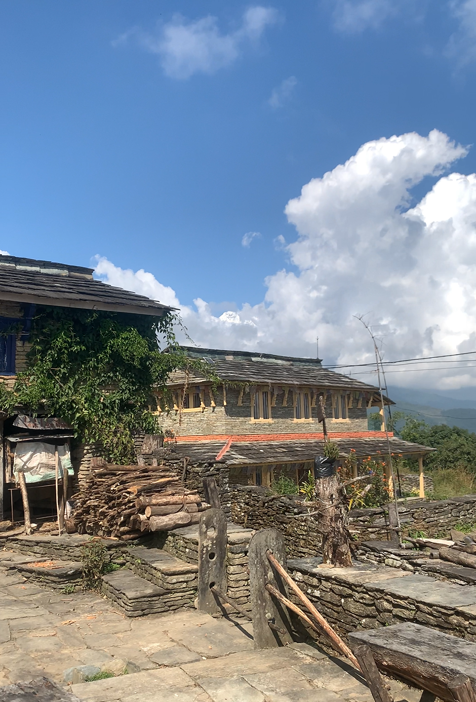 Screenshot 2026-01-07 140336.png