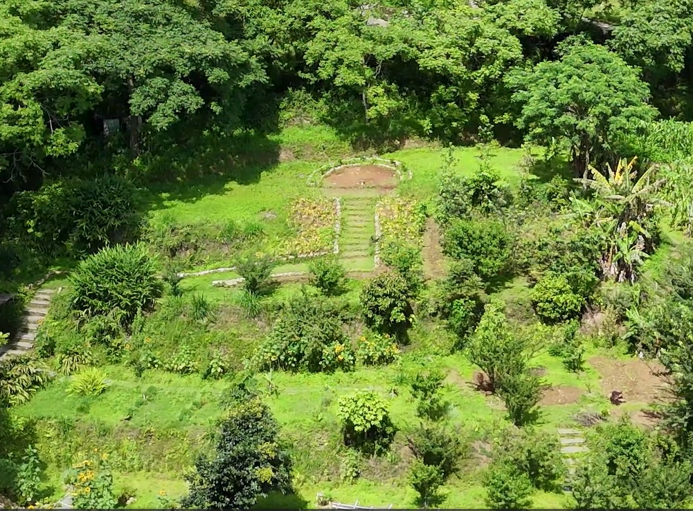 Screenshot 2025-10-20 164719.png