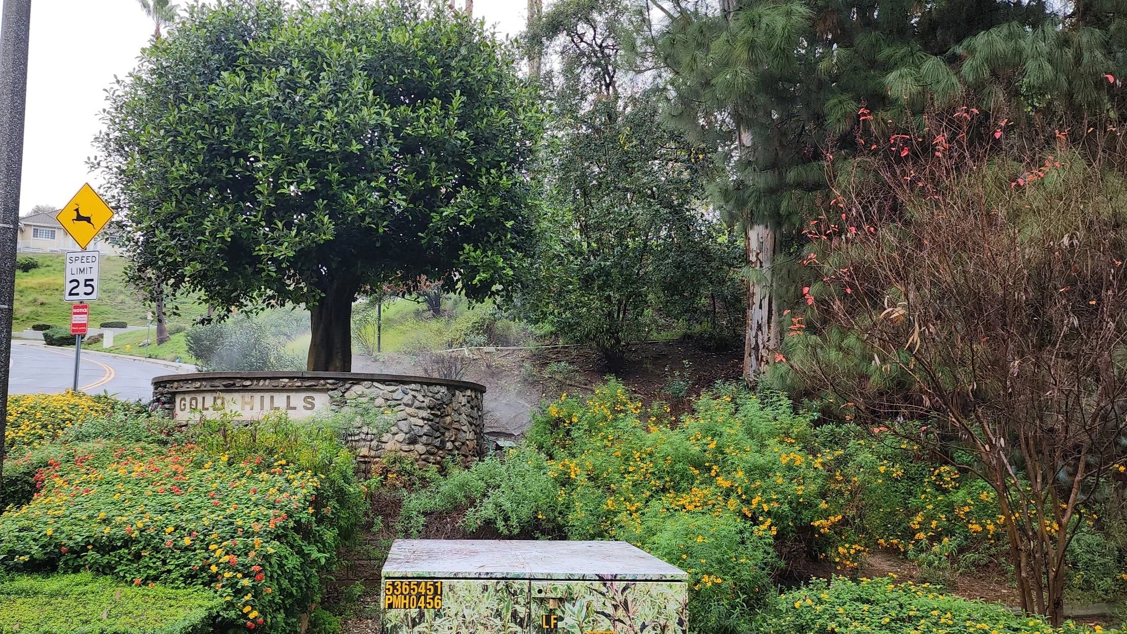 Let the Rain Do the Work