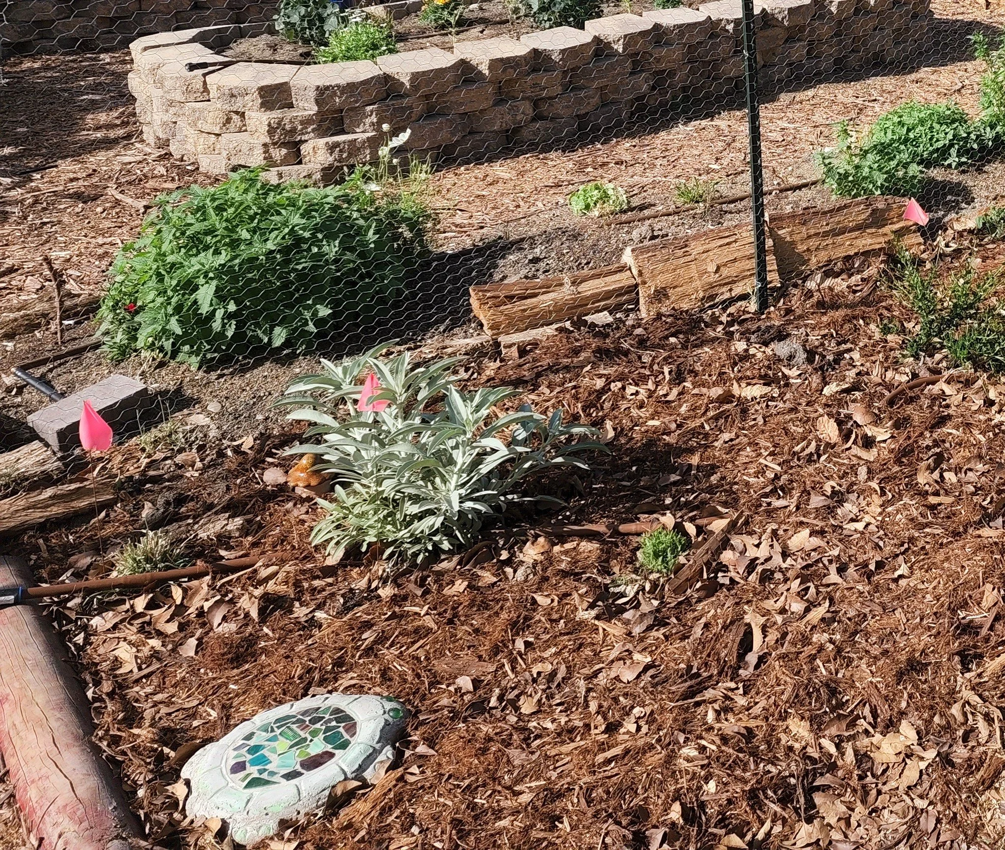 Tending What's in Front of Us