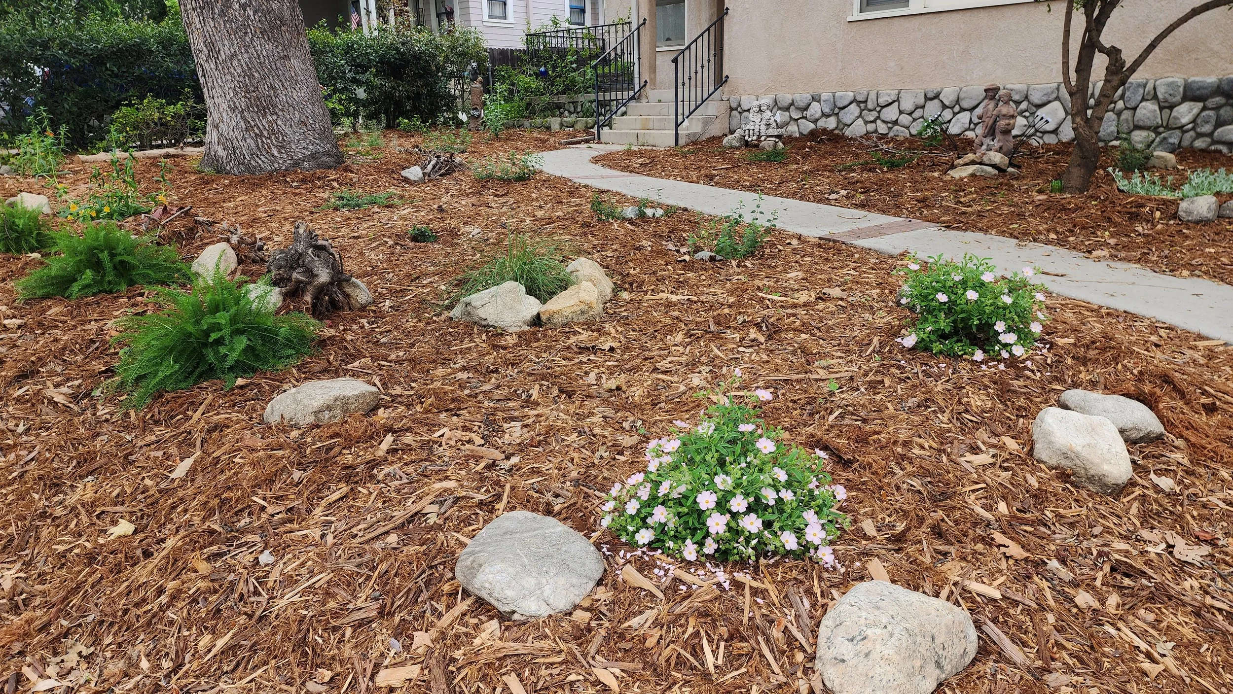 Plants Made for Here