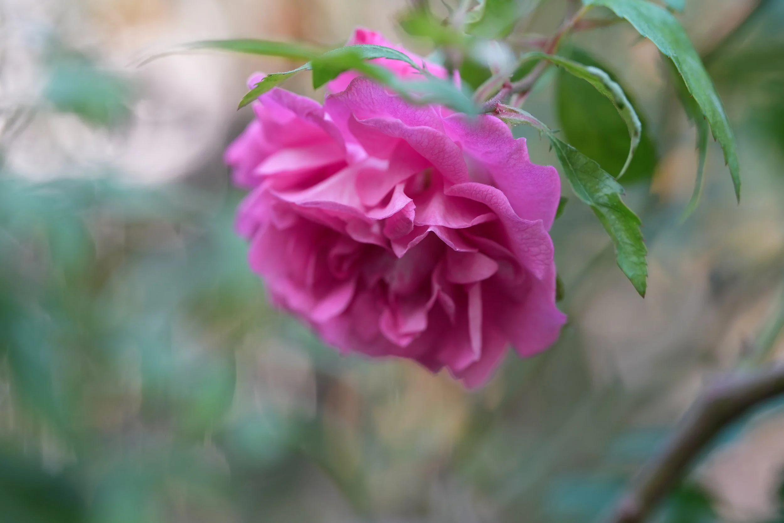 When Nature Has Other Plans