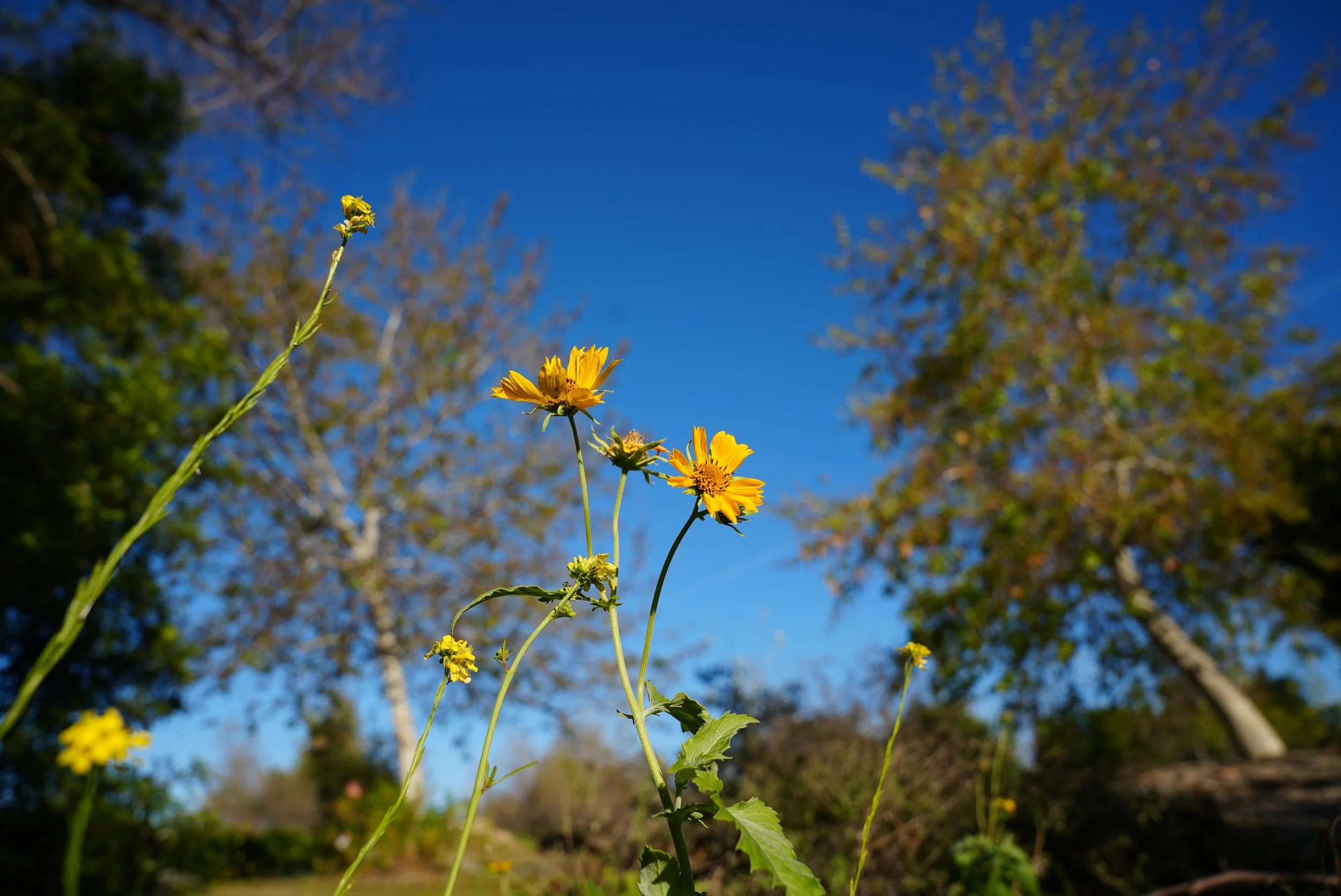 Things Don't Always Go According to Plan