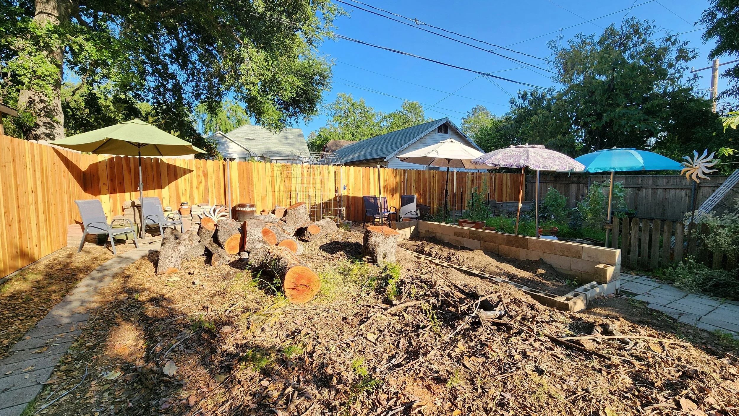 Before and After the Shade