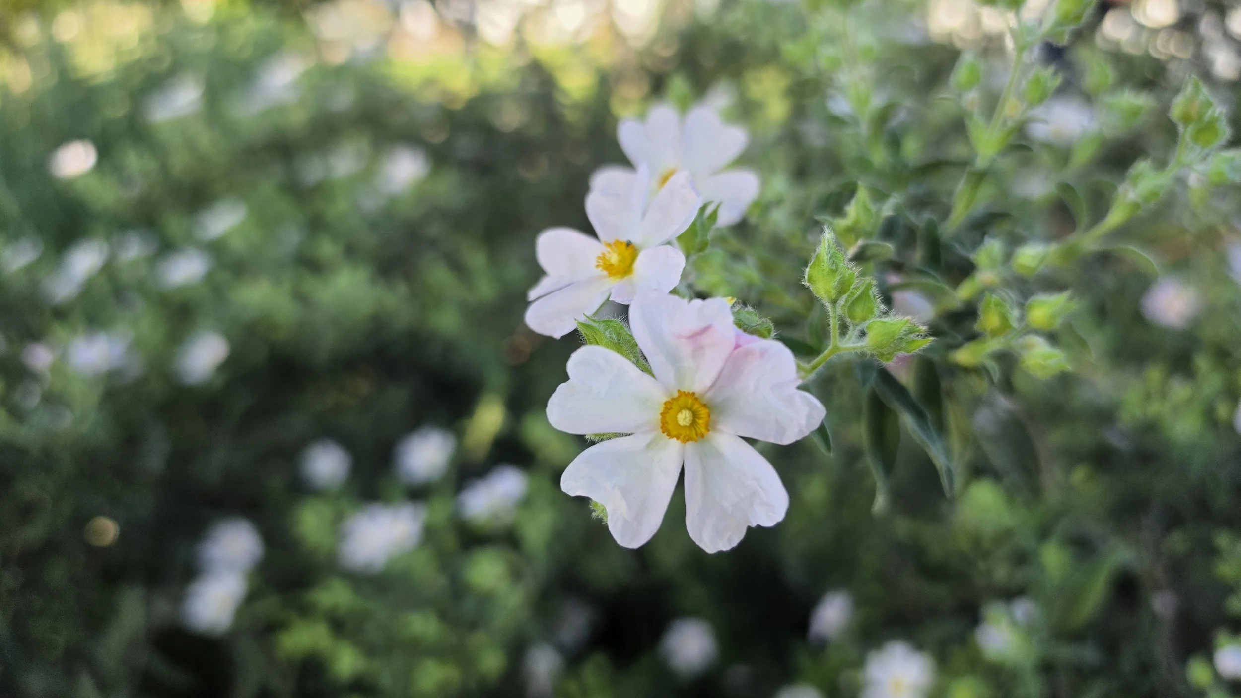 When Nature Speaks, We Should Listen