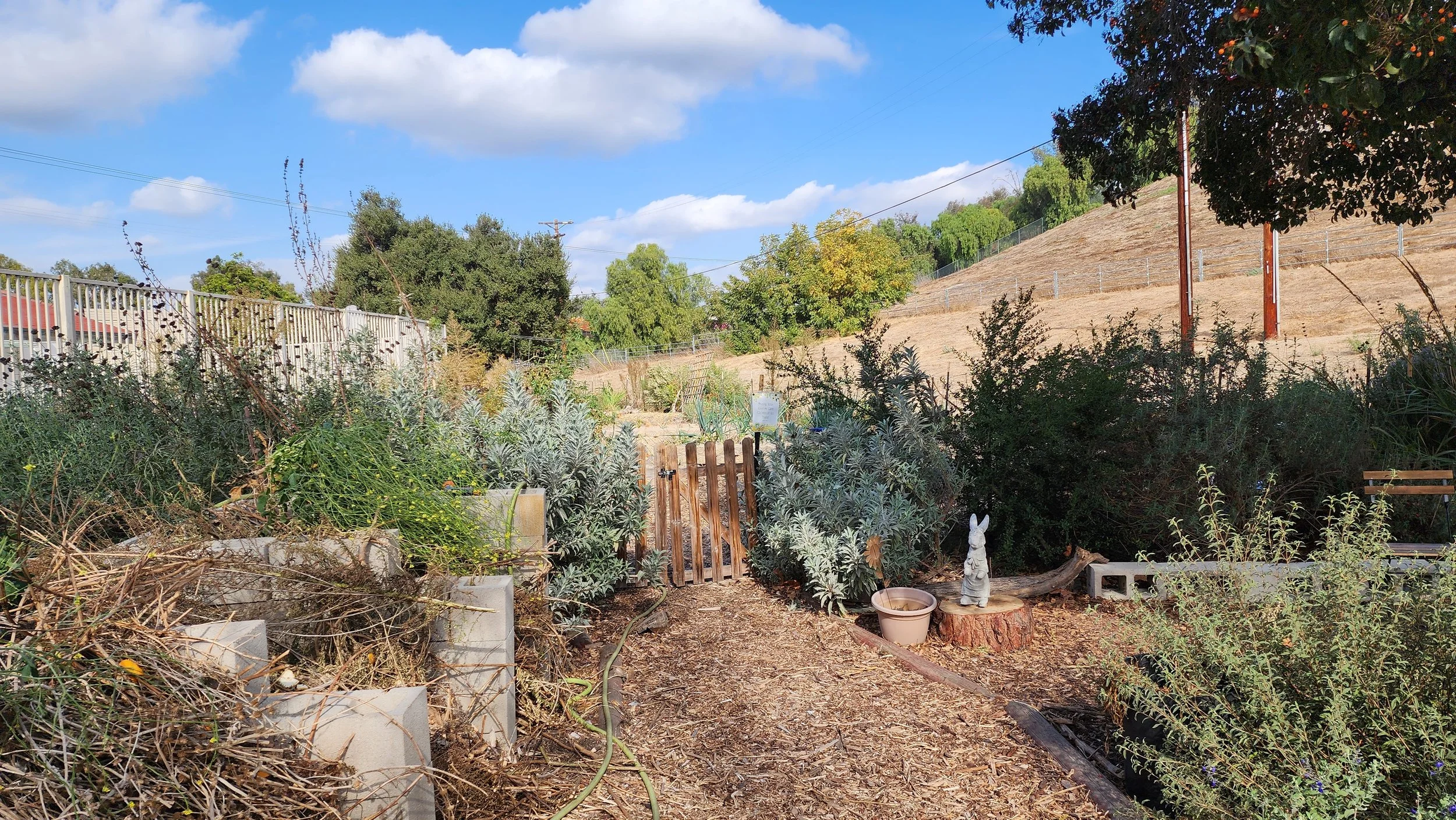 A community garden with plants, a wooden gate, a rabbit statue, and a hillside in the background under a blue sky with clouds.