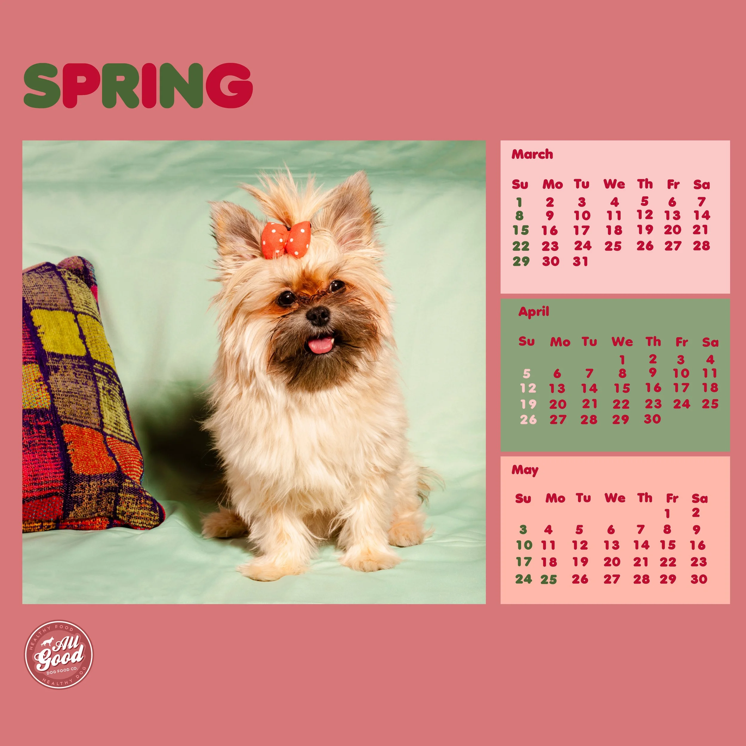 SPRING.jpg