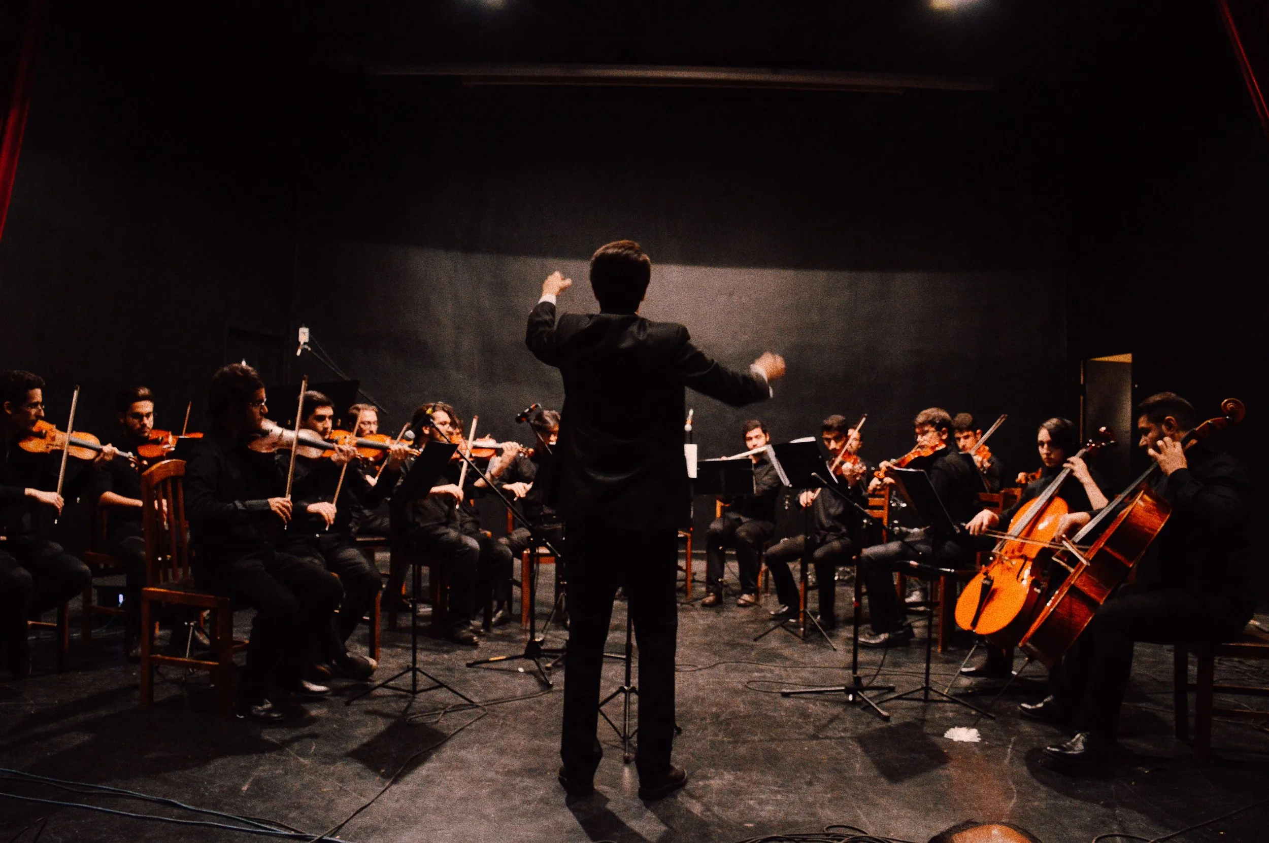 Documentary - Music Festival