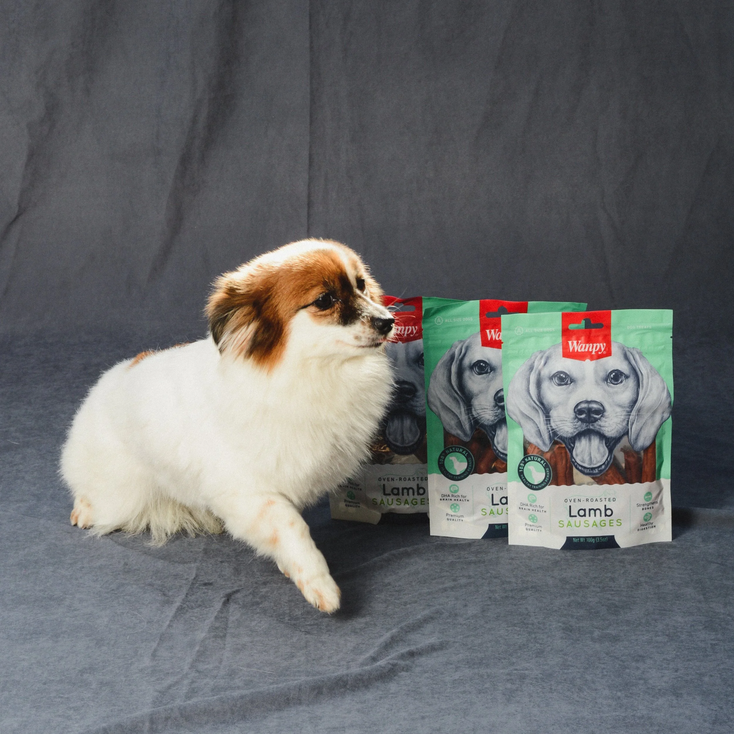 Commercial - Pet shop