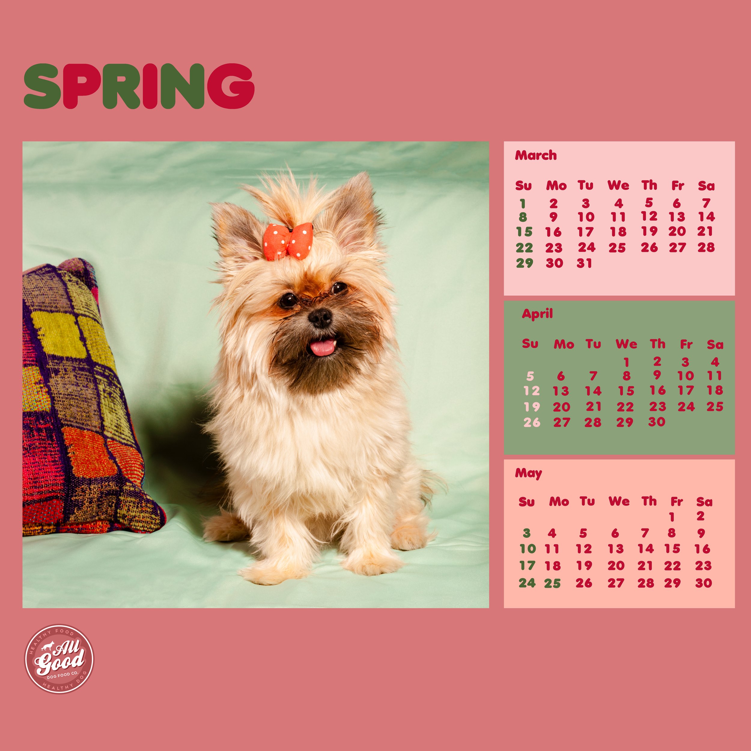 SPRING.jpg