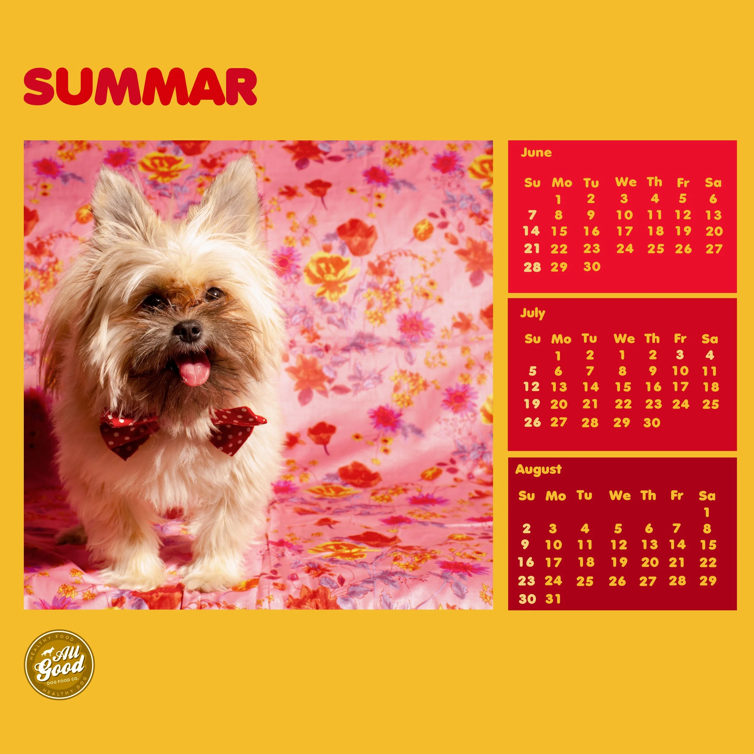 SUMMAR-2.jpg