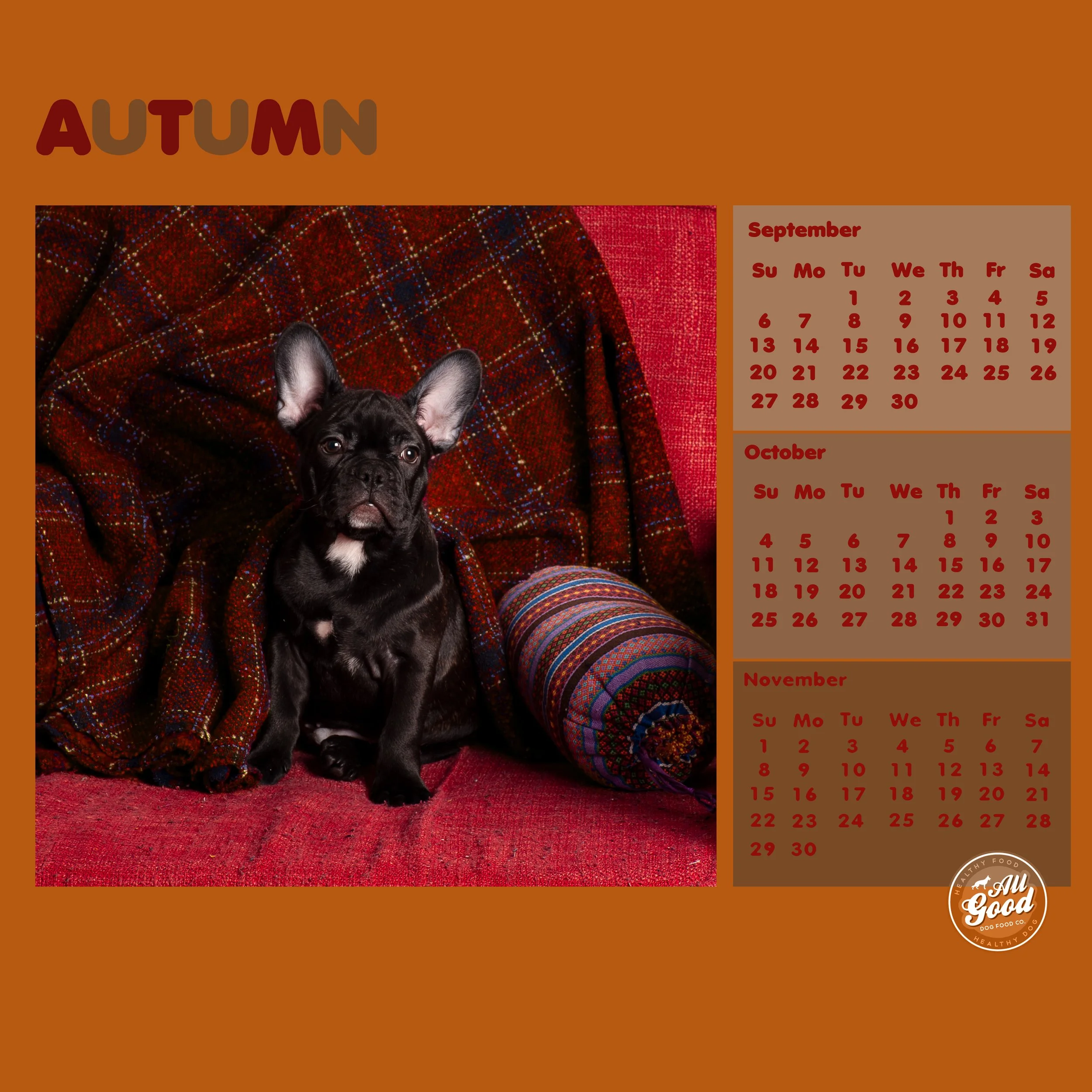 AUTUMN.jpg