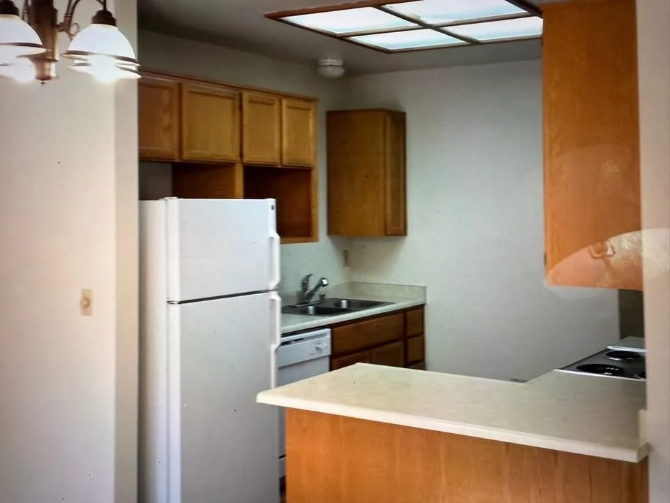 BEFORE THE HOUSE DOCTOR