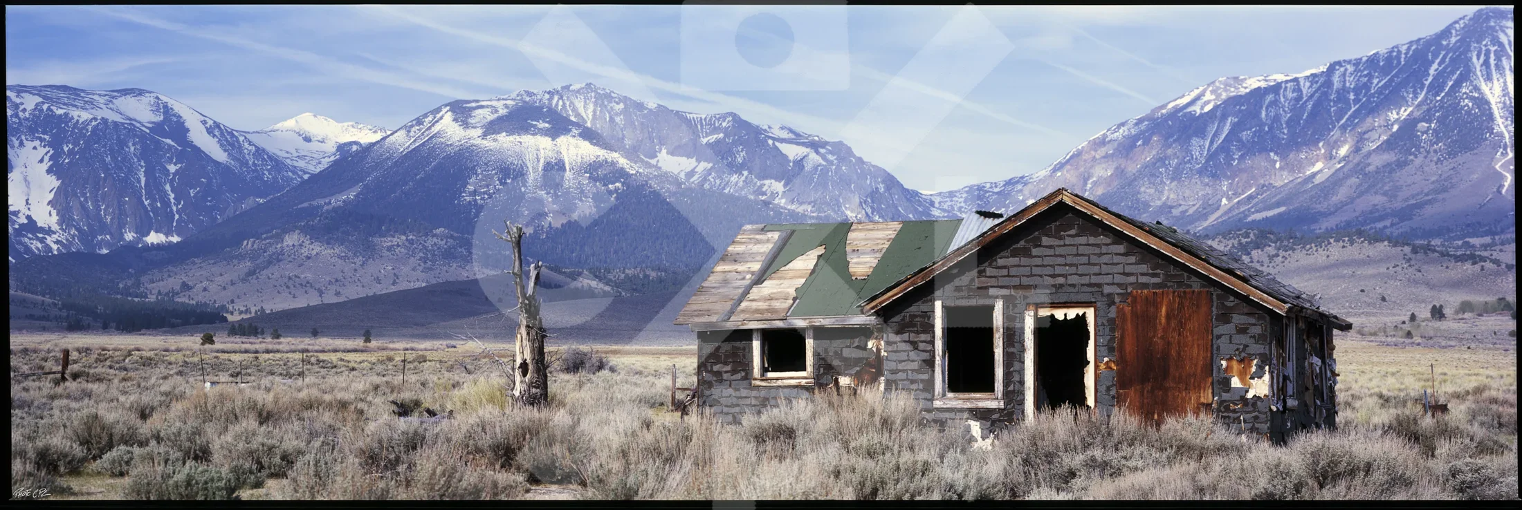 Mono Lake Homestead