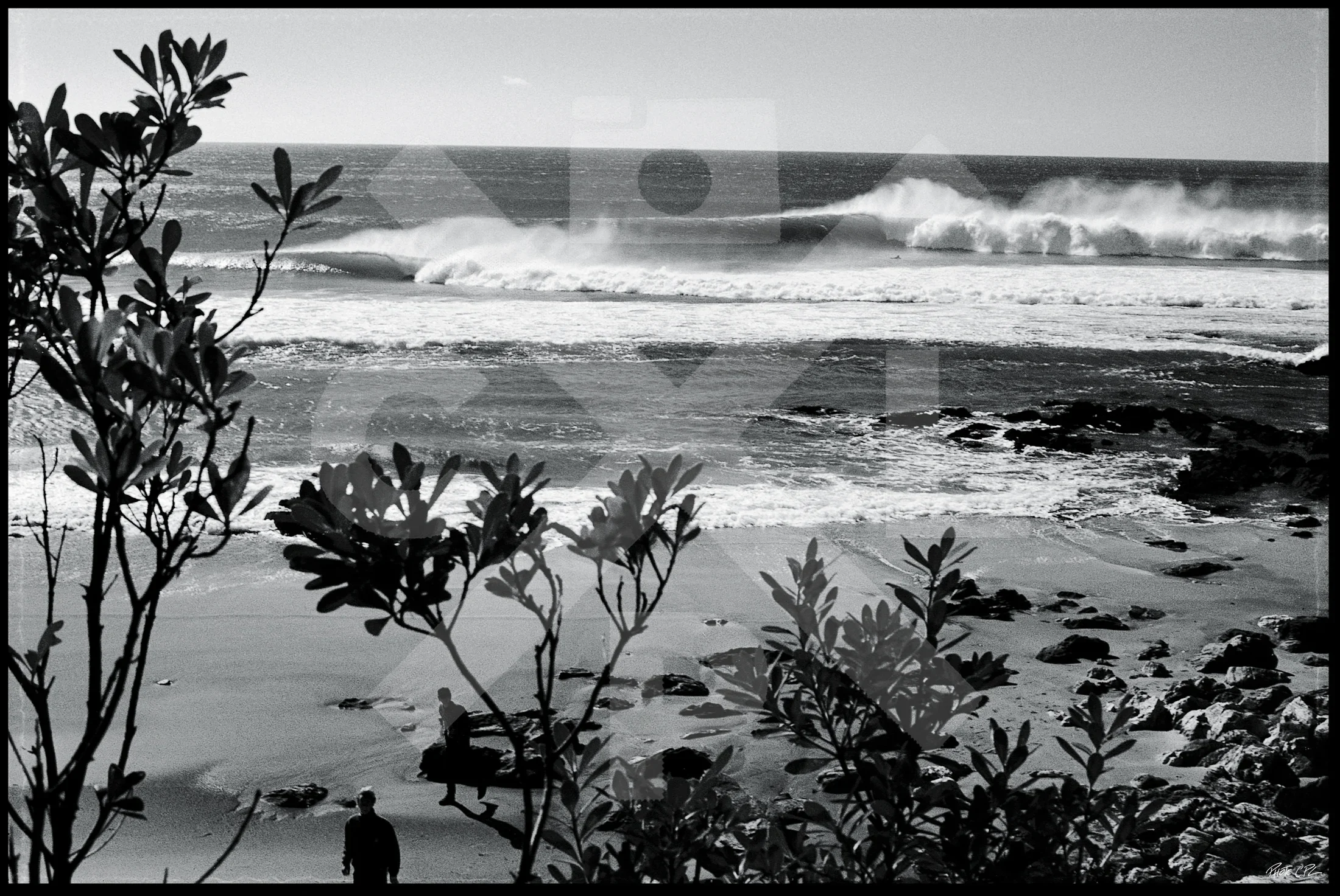 TAIRUA+CLASSIC.webp (Copy)