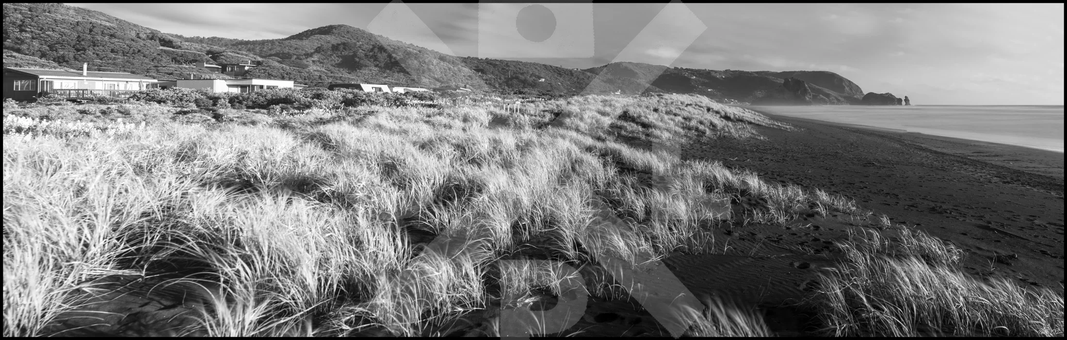 North Piha Dune