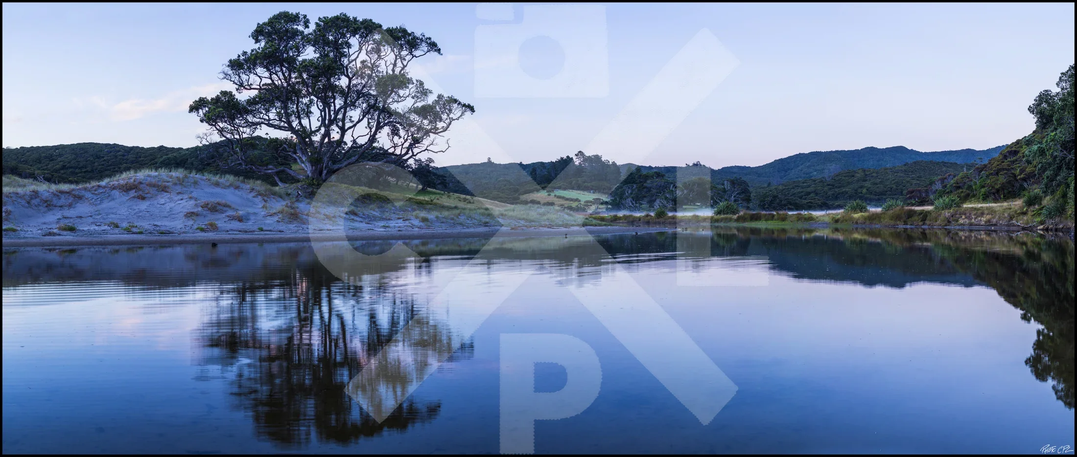 Pohutukawa Reflection