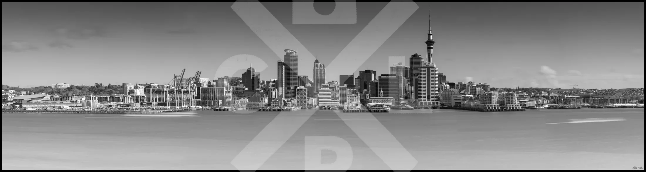 Auckland from Stanley Point