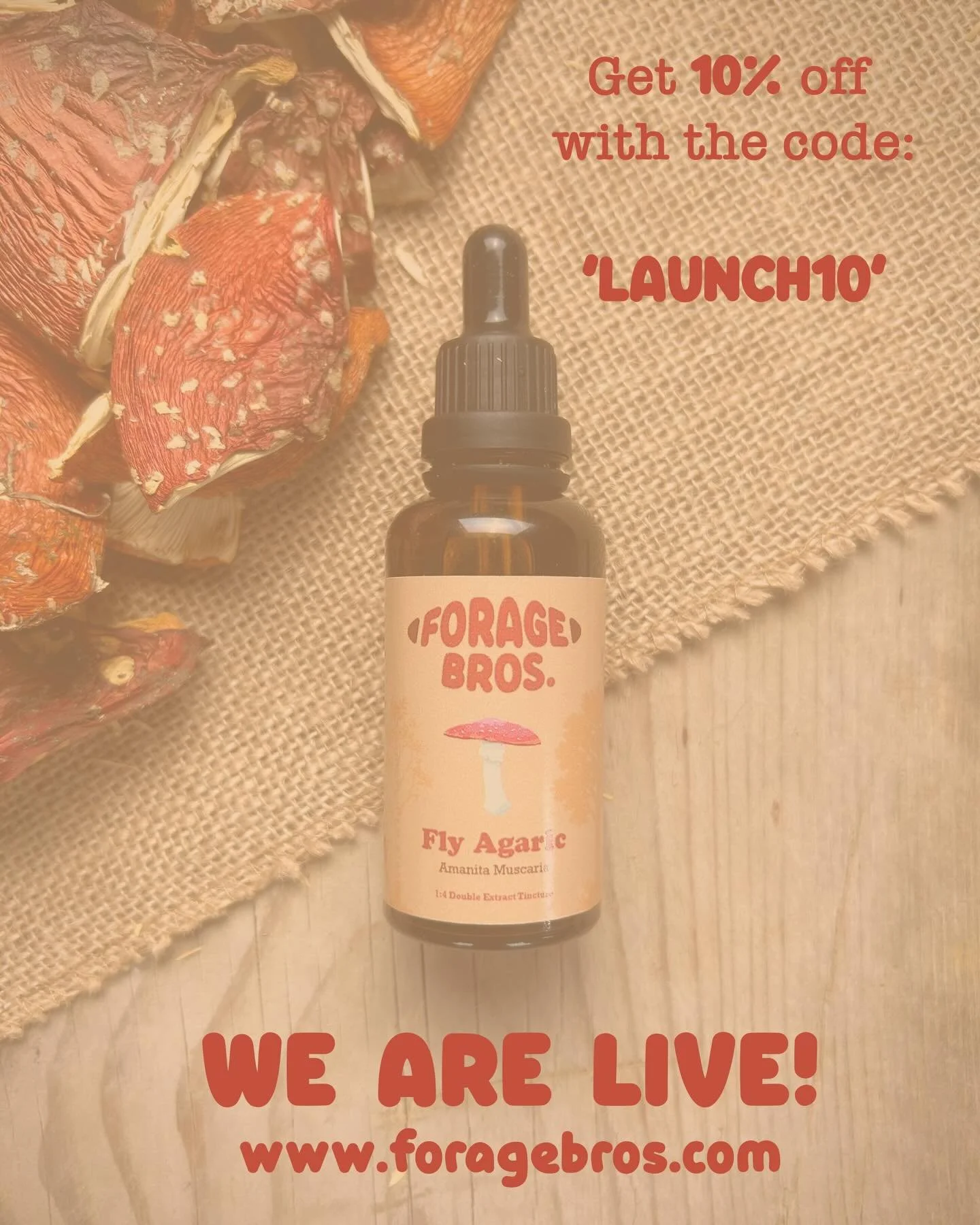 Our website is now live! 🍄🍄🍄

If you&rsquo;re looking for a natural alternative to improve your sleep, give our Fly Agaric double extract tincture a try. 

For you early supporters, we&rsquo;re offering 10% off by using the code &lsquo;LAUNCH10&rs
