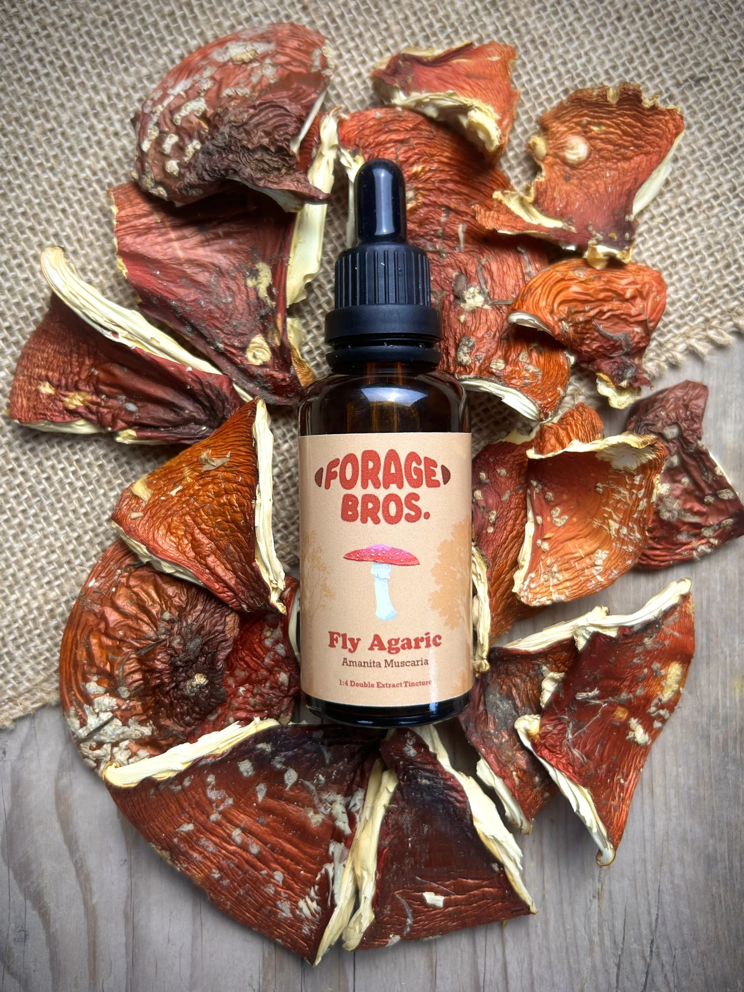 Amanita Muscaria (Fly Agaric) Tincture