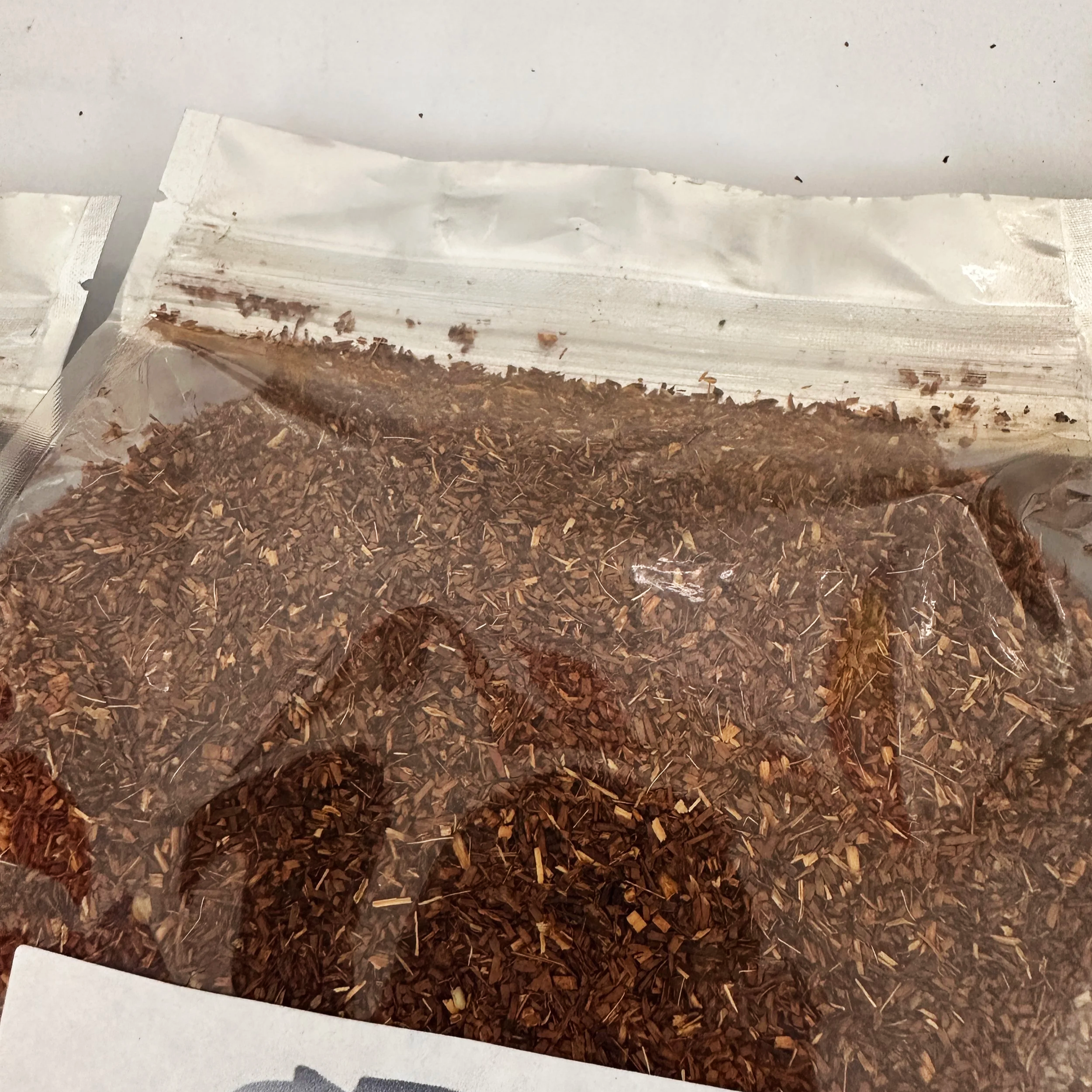 Short-cut Rooibos leaves