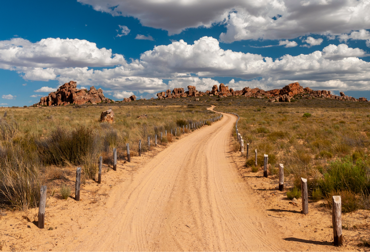 The Epicenter of Rooibos