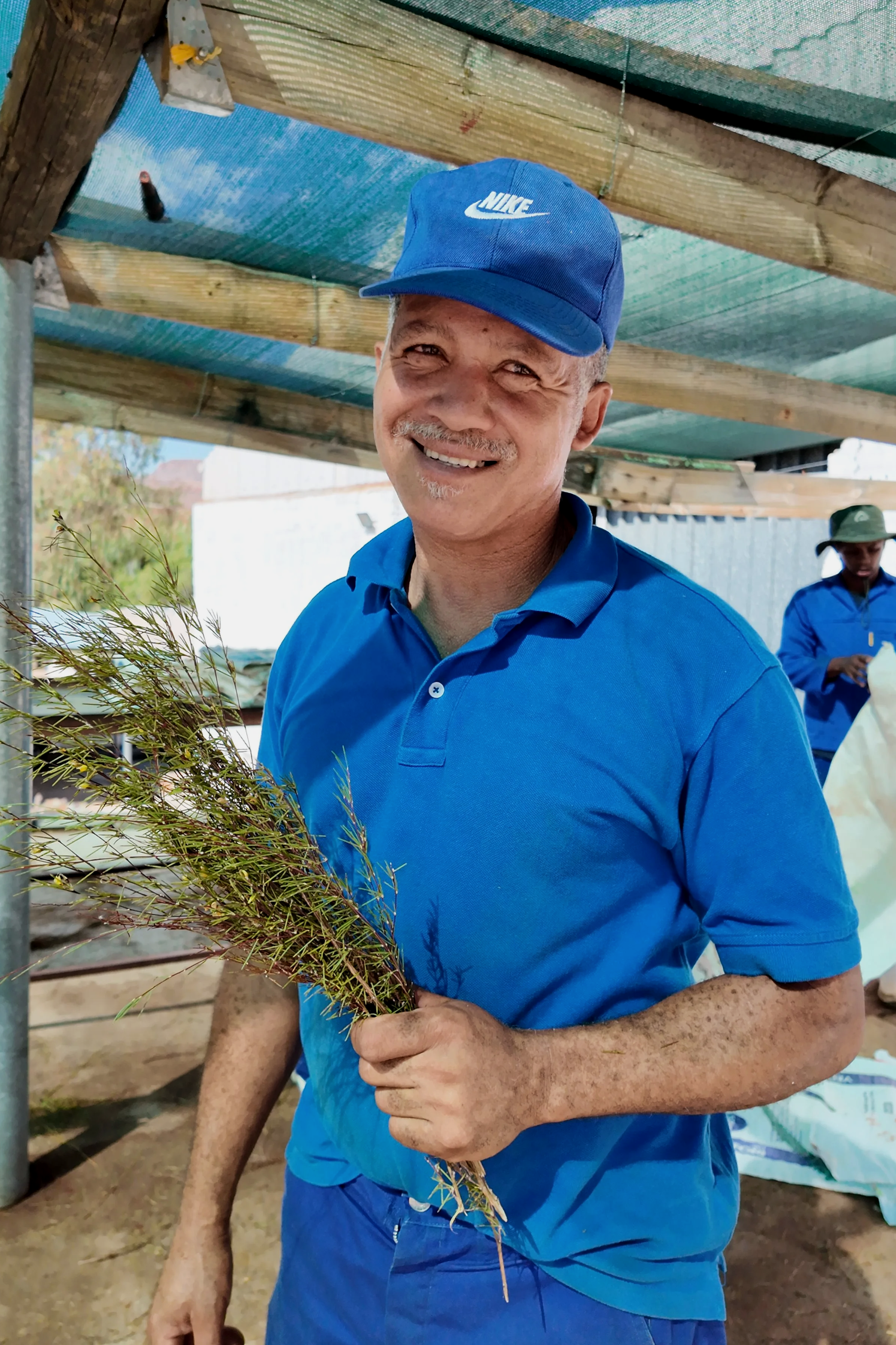 Wupperthal Original Rooibos Cooperatives