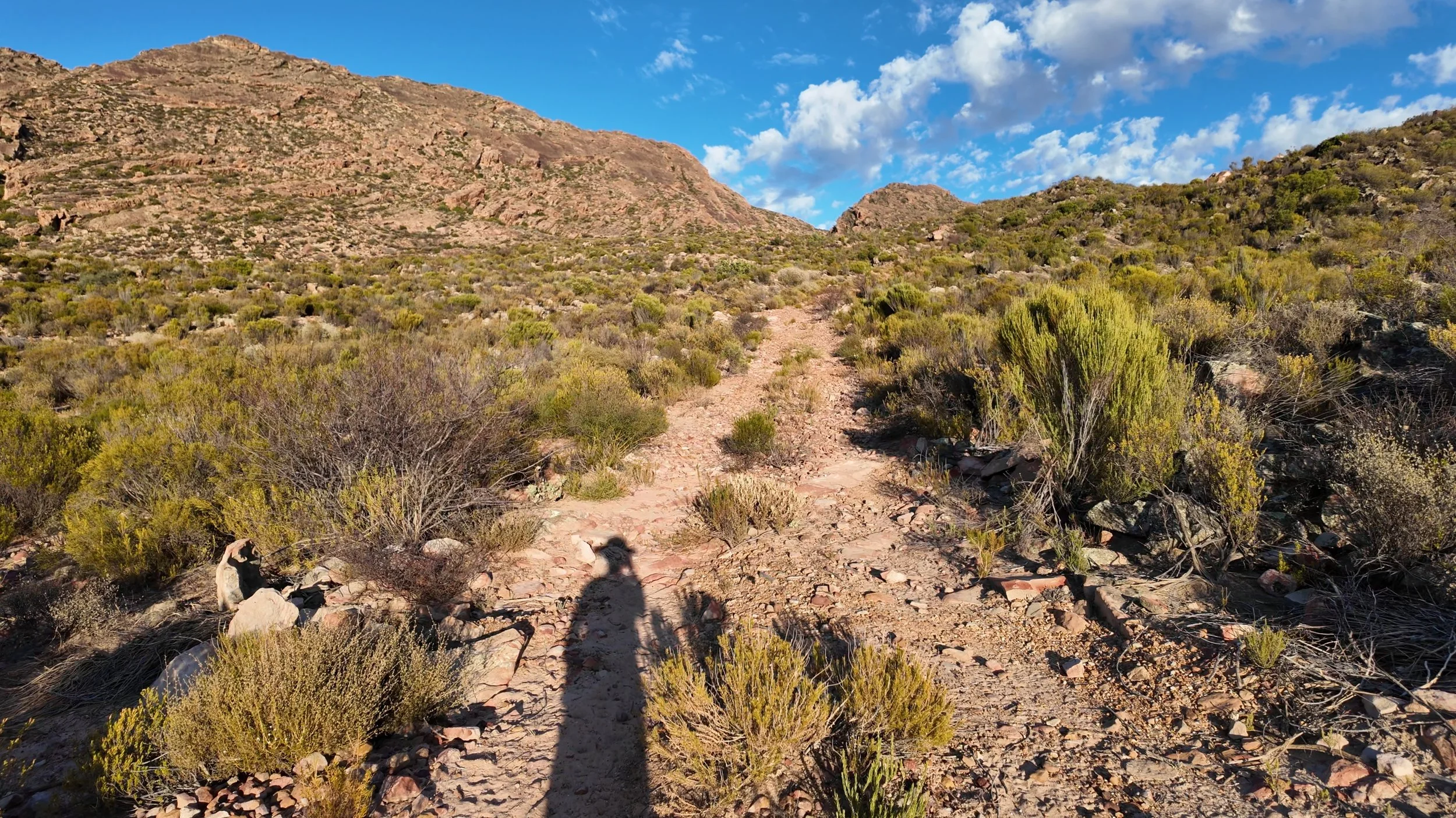Rugged sandstone mountains and native fynbos landscape near Wupperthal village in the Cederberg Mountains, a unique habitat where rooibos grows naturally