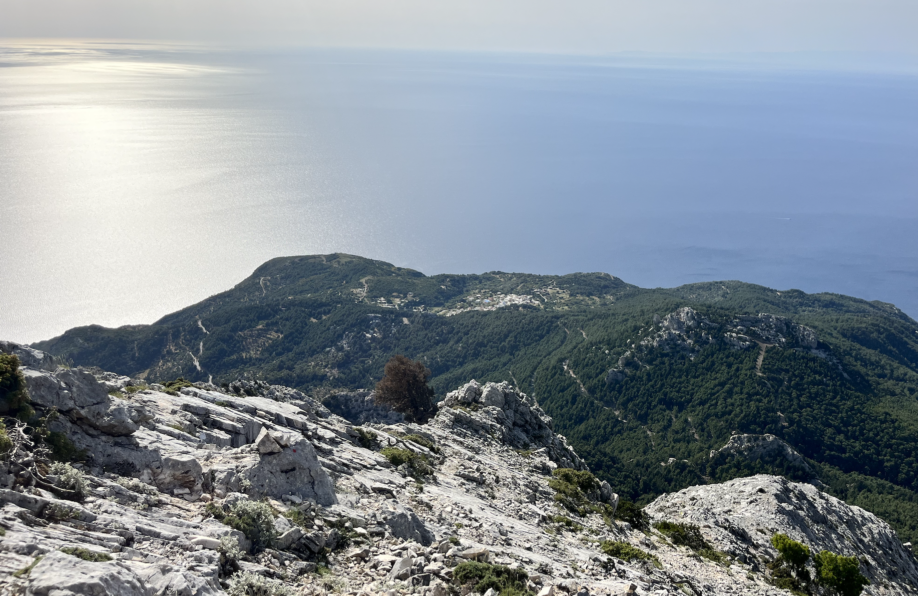 Schermafbeelding 2026-01-18 om 12.27.09 PM.png