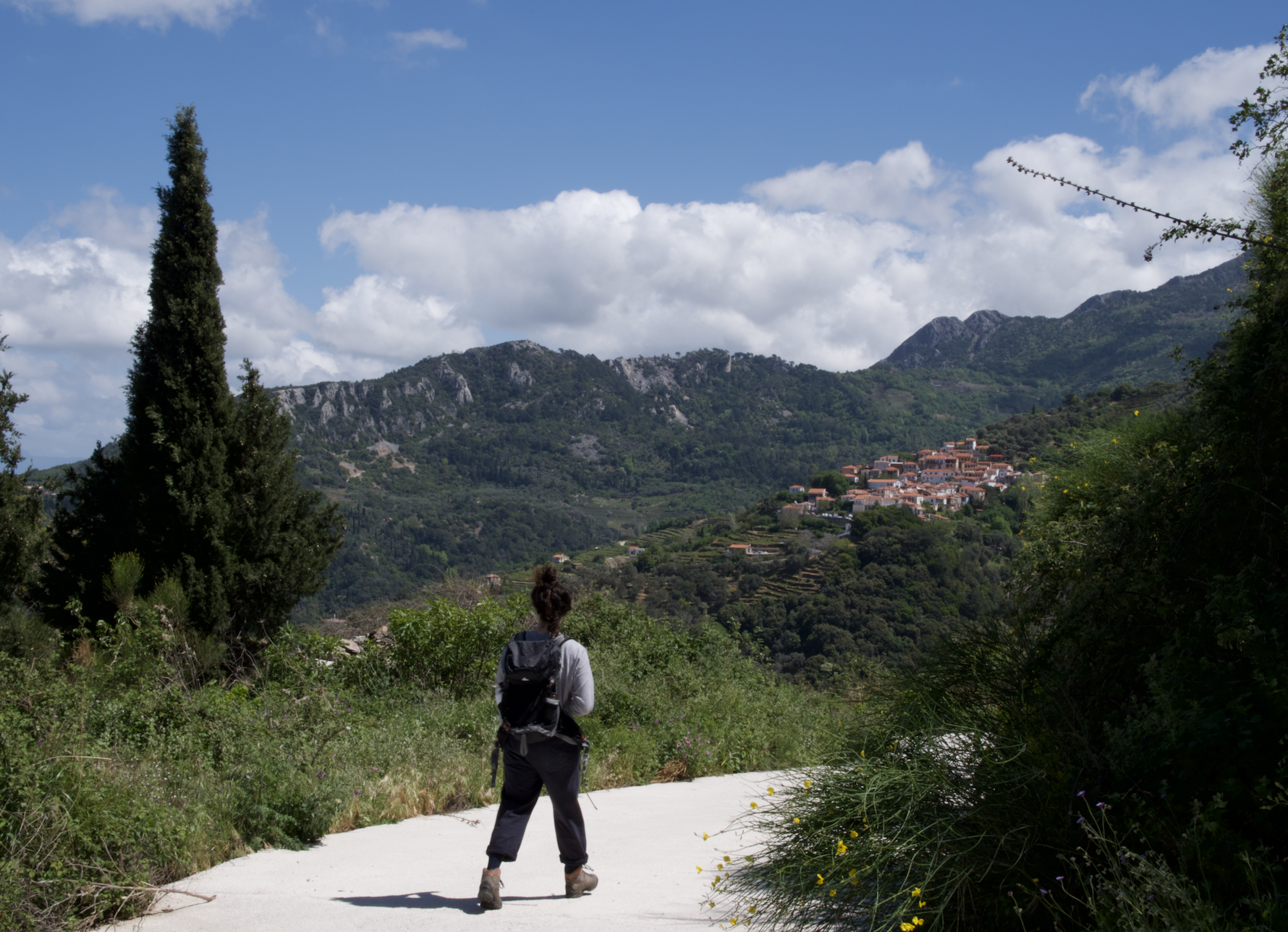 Schermafbeelding 2026-01-18 om 12.28.37 PM.png