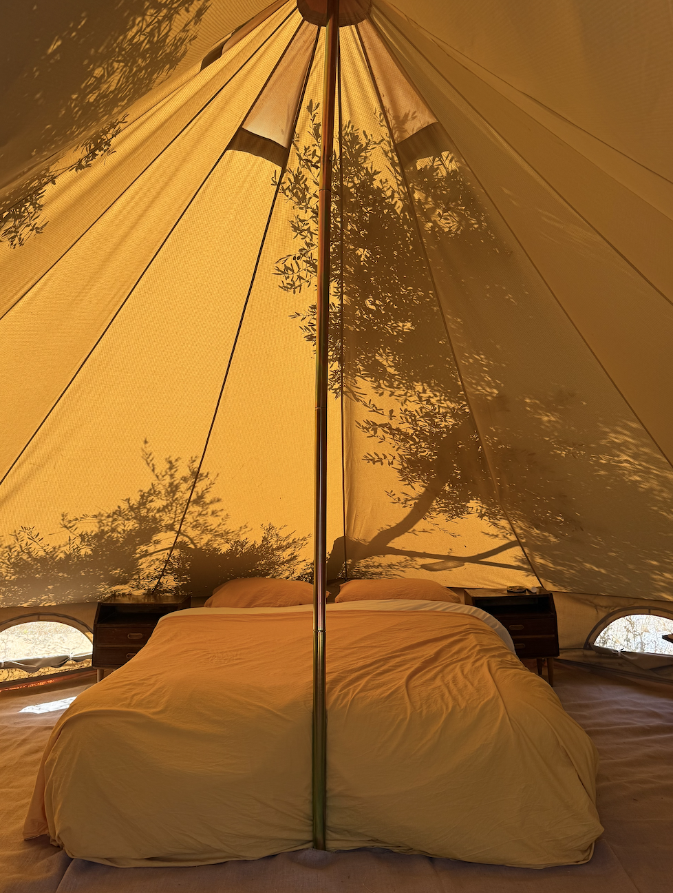 Schermafbeelding 2026-01-18 om 12.29.43 PM.png