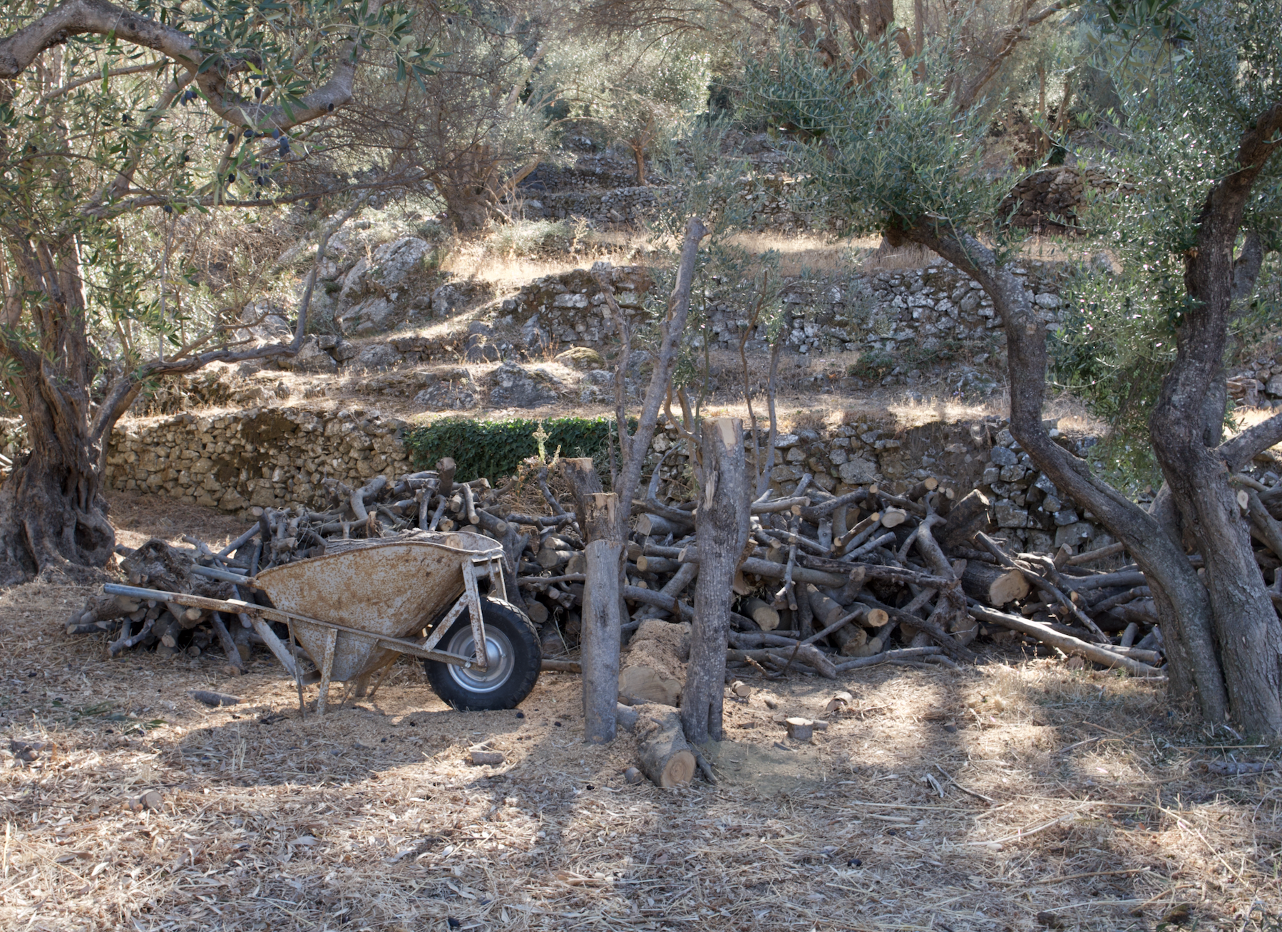 Schermafbeelding 2026-01-18 om 12.15.00 PM.png