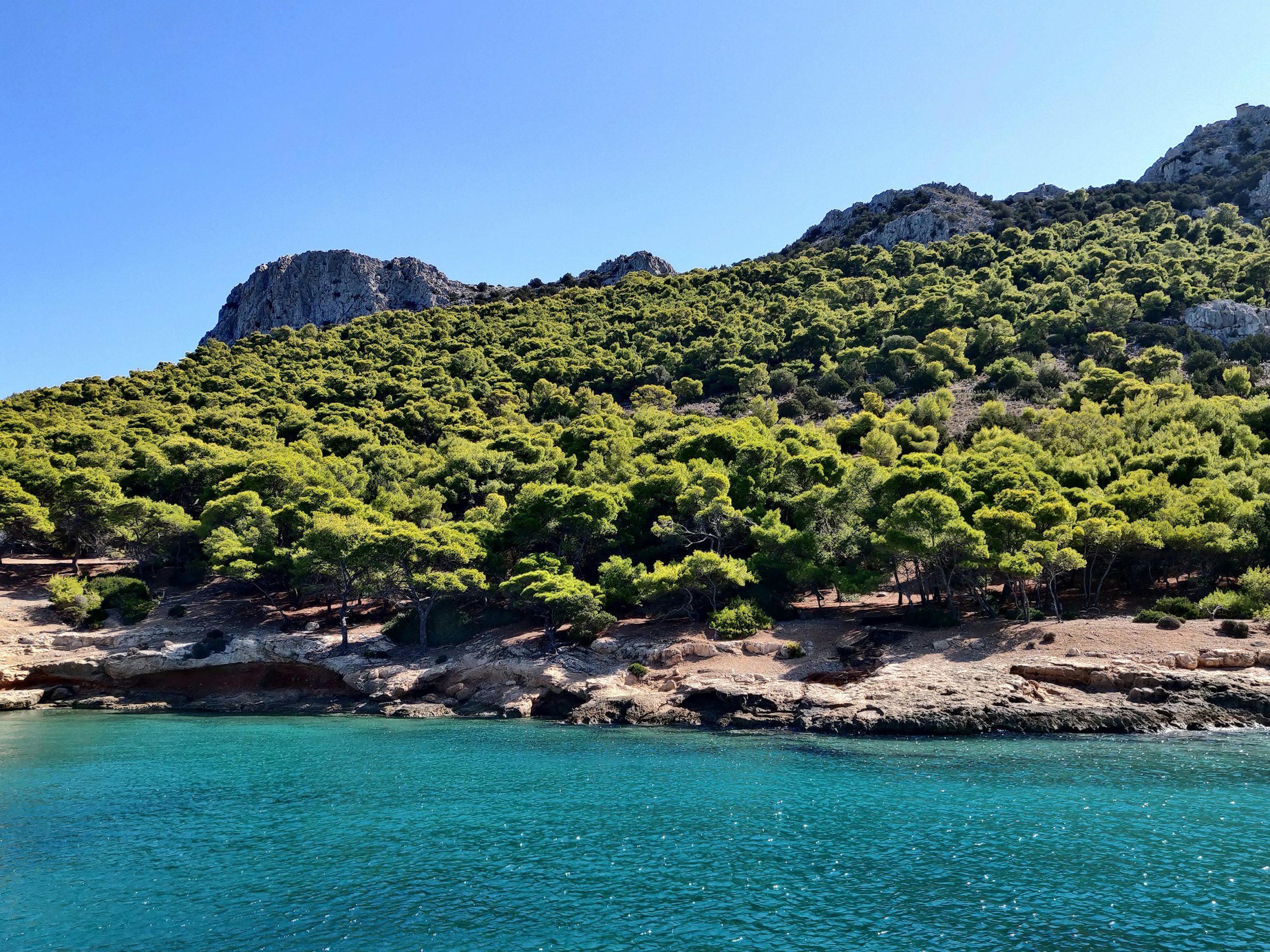 A scenic view of a hillside covered with green trees next to a body of water under a clear blue sky.