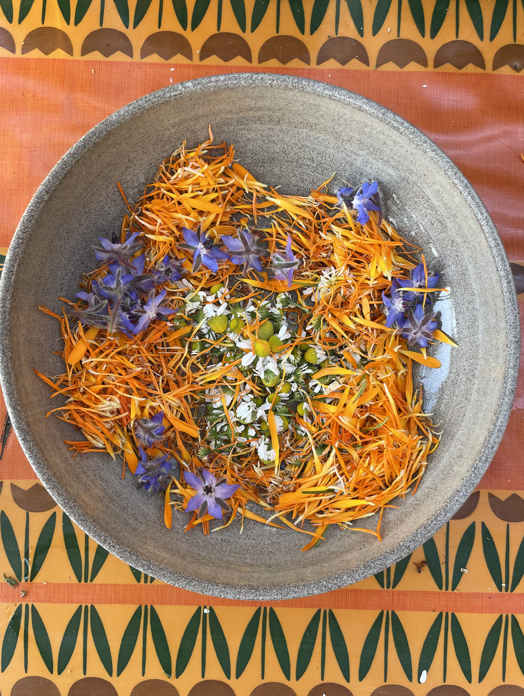 Schermafbeelding 2025-12-14 om 7.51.06 AM.png